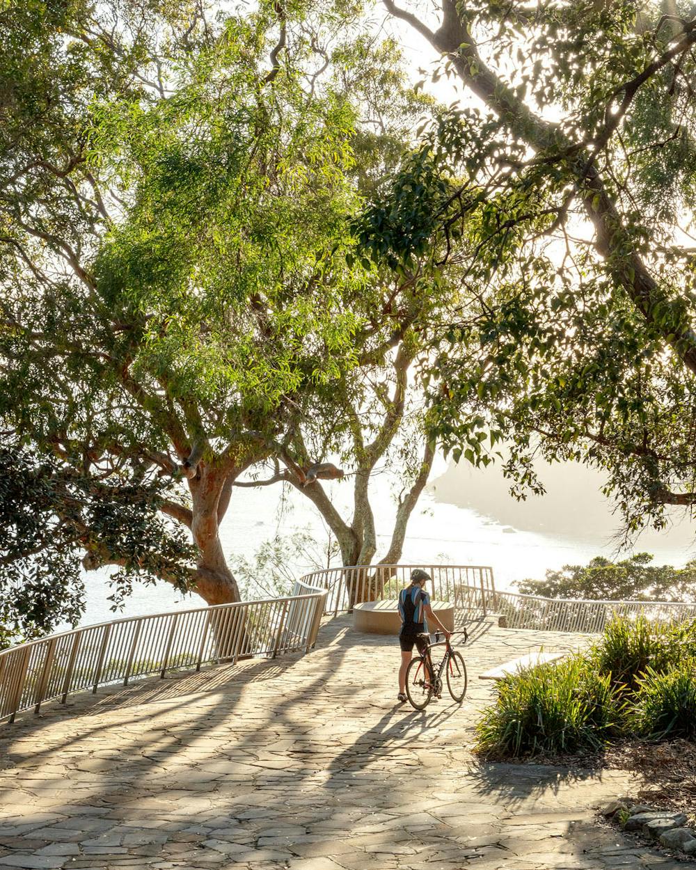 A photograph of a person walking their bike down a sandstone path surrounded by trees.