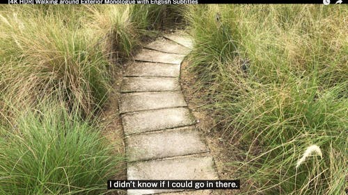 A video still of a narrow path. There are long clumps of grass on either side. A caption reads "I didn't know if I could go in there."
