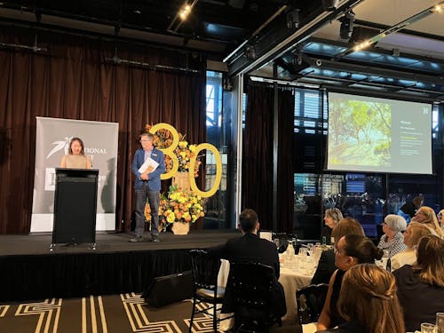 A photograph of a seated awards ceremony, two people are on stage collecting a trophy. There is a floral arrangement with a big "3" "0" cut out. 