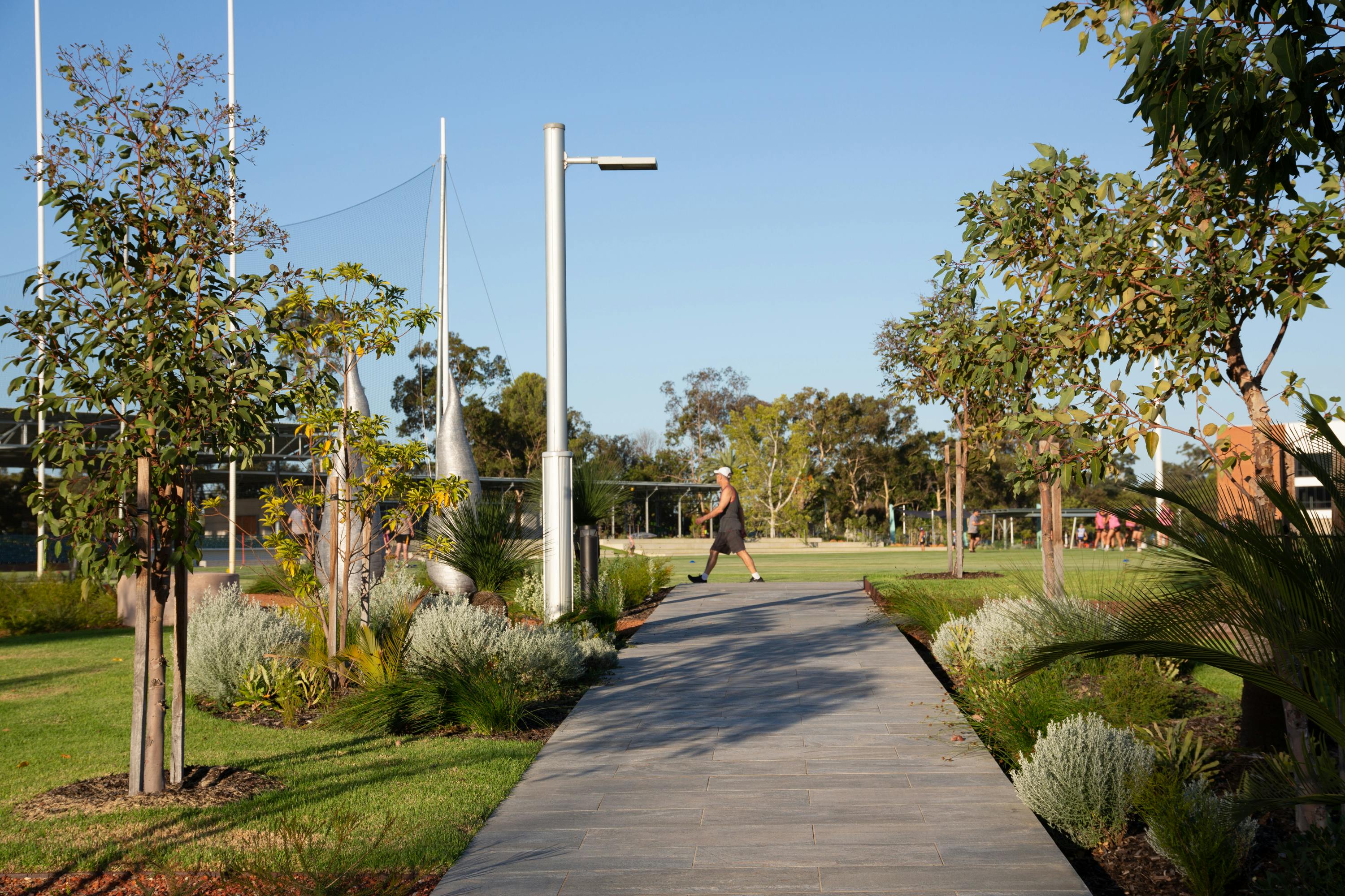 A photo looking down a path lined with trees and shrubs towards a sports oval. It's a sunny day, and a person walks past in the distance.