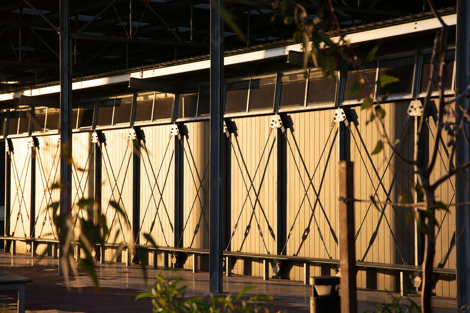 A photograph of warm sunlight falling on a pavilion wall. There are out of focus tree leaves in the foreground. 