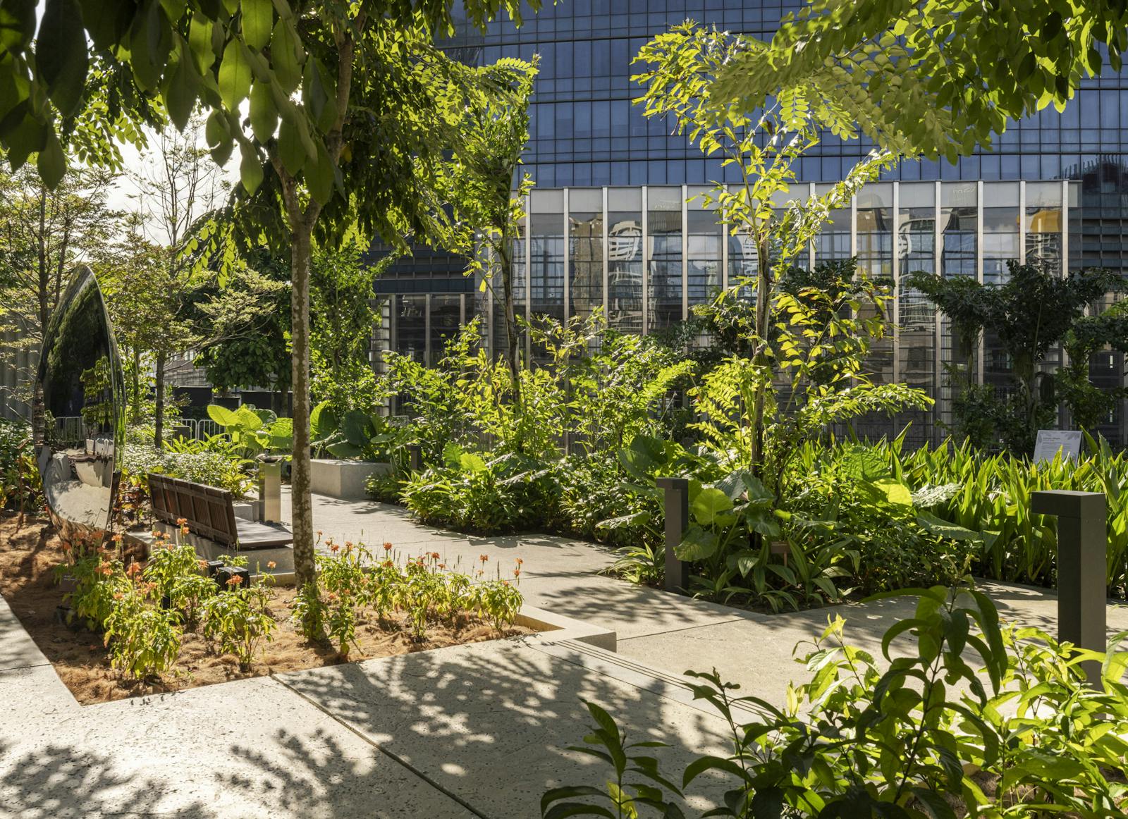A photo of paths and planting in a rooftop garden, a building fills the background.