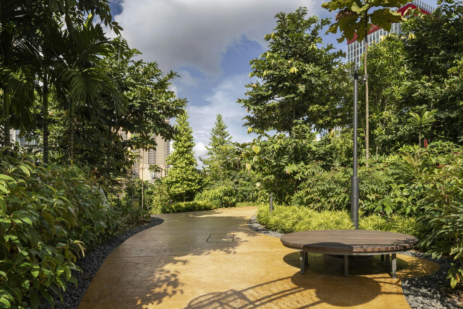 A photo of a wide path winding through a rooftop forest.
