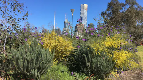 OCULUS: Landscape Architecture + Urban Design