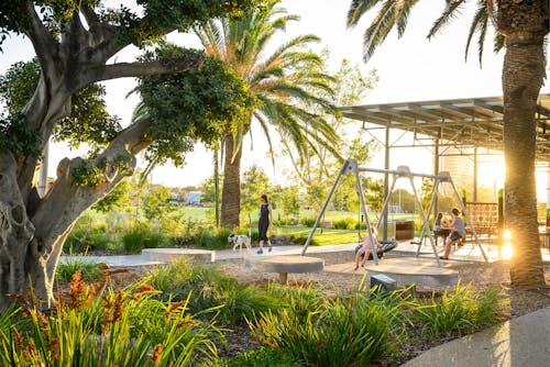 A photo of a park. There is dense planting in the foreground, kids swinging, a dog walker, and a setting sun in the background.