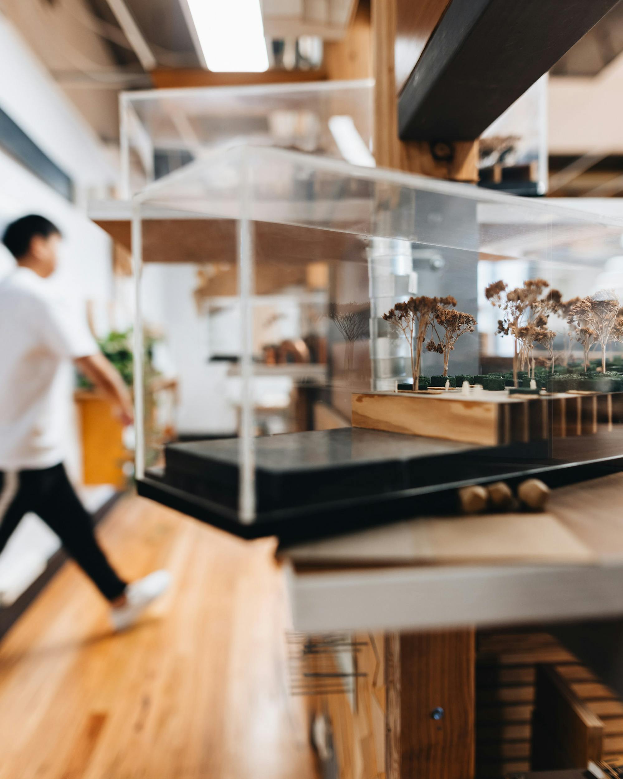 A photograph of a landscape architecture model on a shelf, a person is walking past in the background. The floor is timber, there is some greenery in the background.