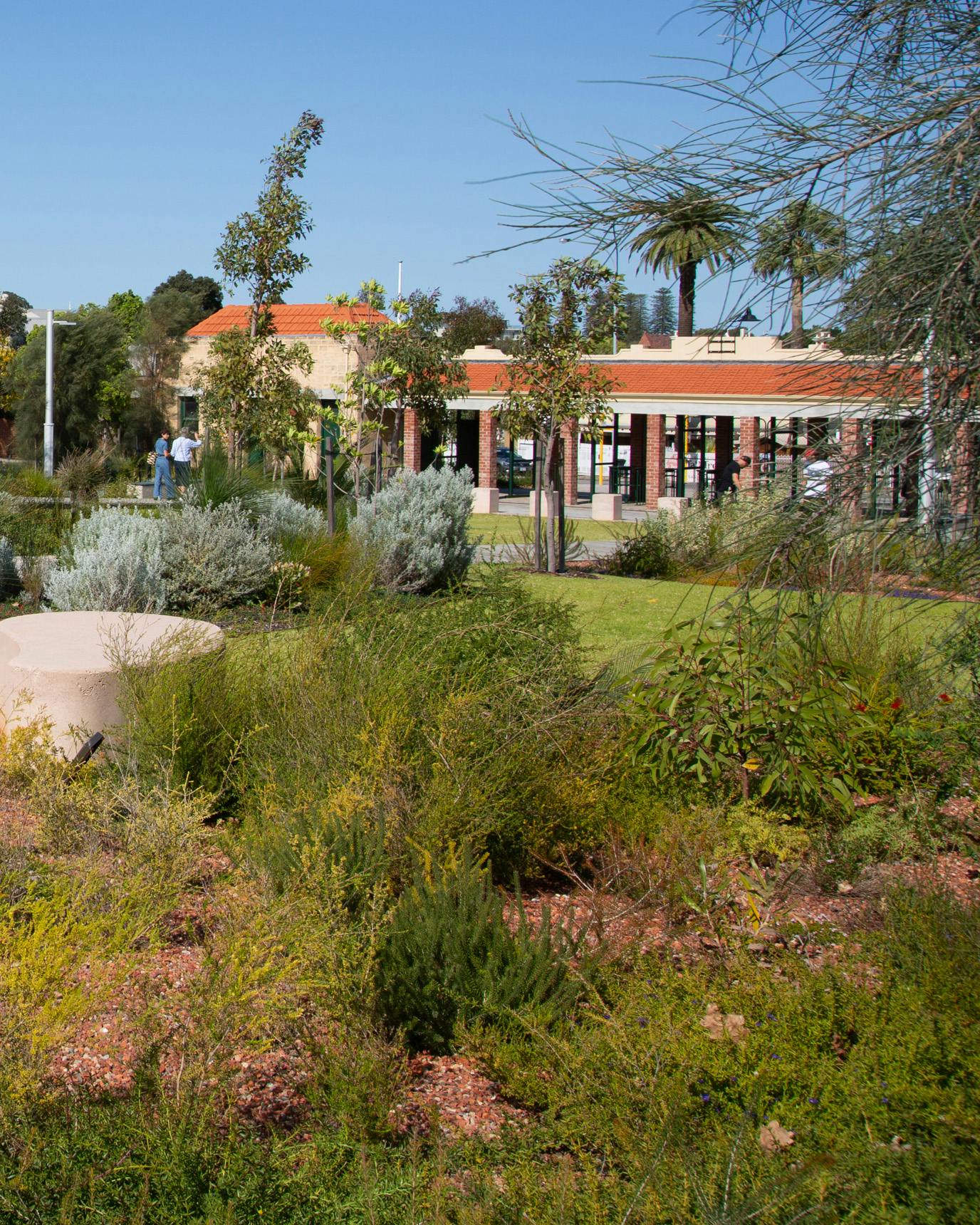 An image of a garden bed with diverse plants, heights, and textures.