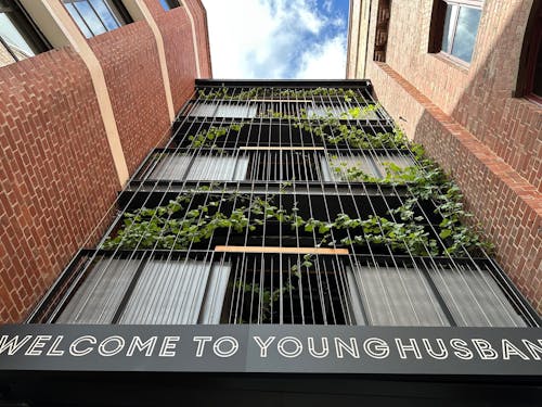 A photo looking up at green vines growing on a new three level walkway connecting two old red brick buildings.