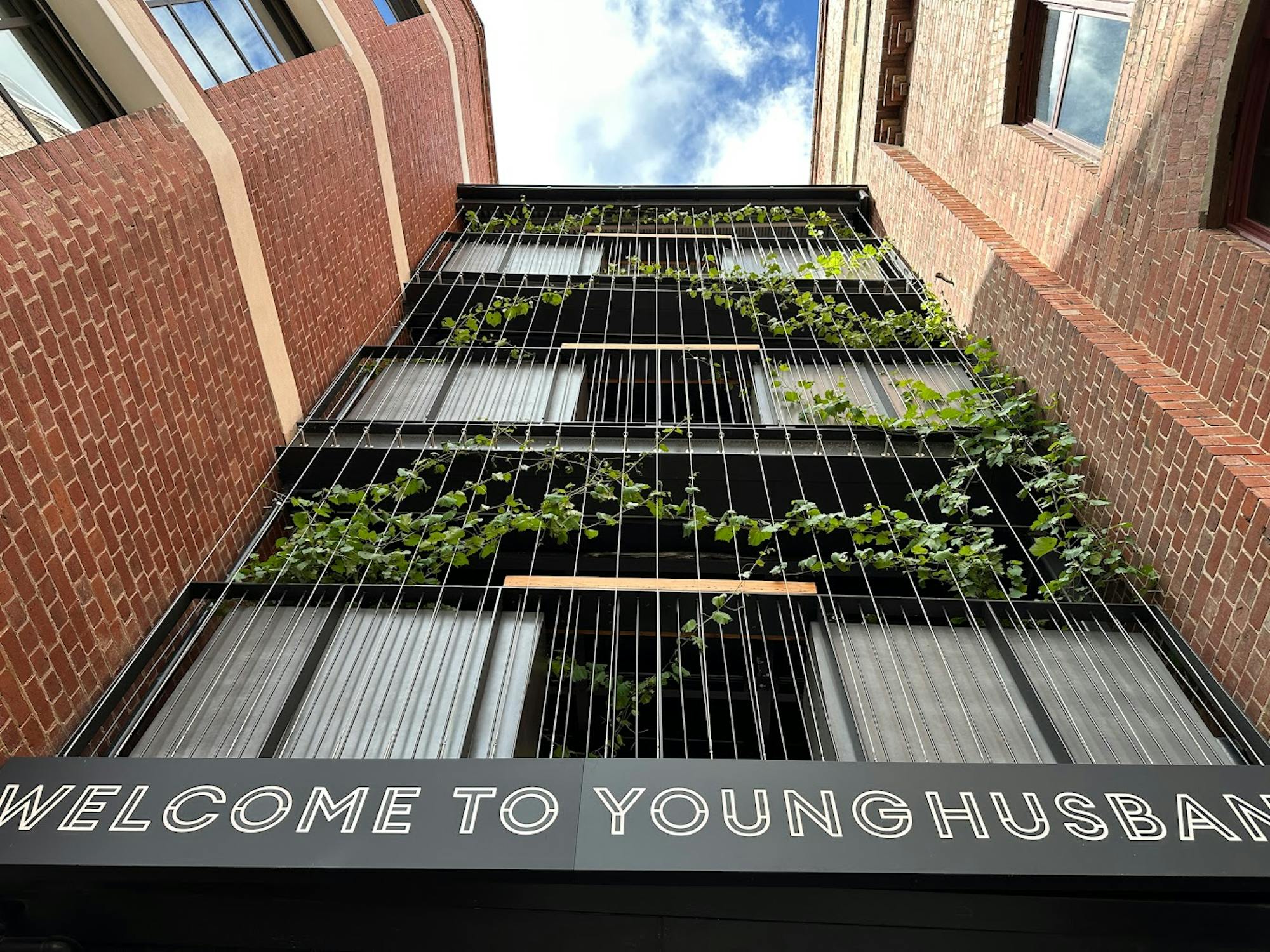 A photo looking up at green vines growing on a new three level walkway connecting two old red brick buildings.