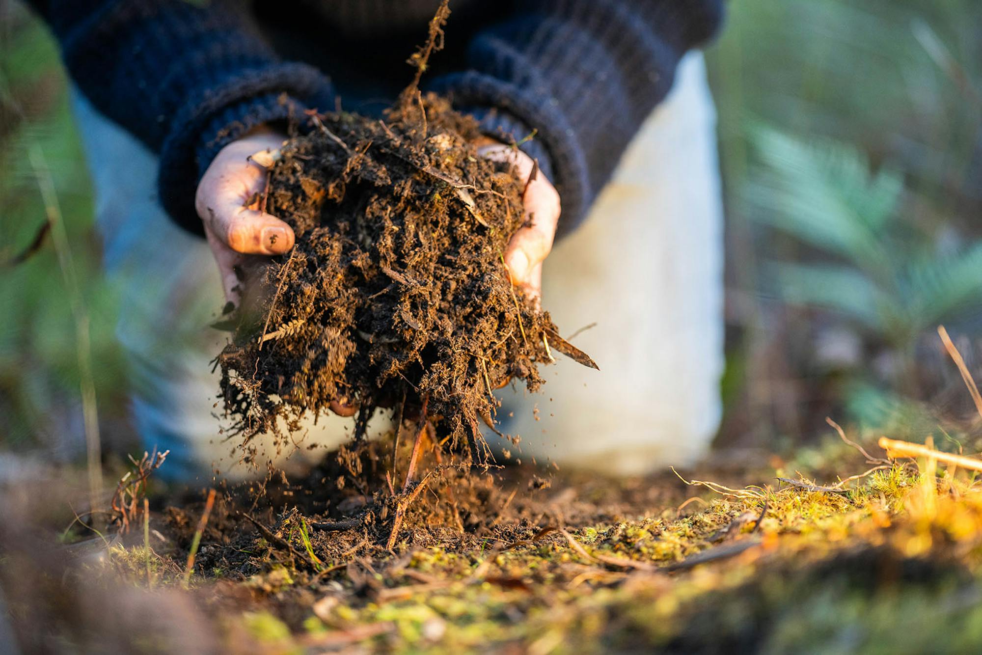 A close up photo of a big handful of soil. A persons thumbs and knees on the earth are visible.