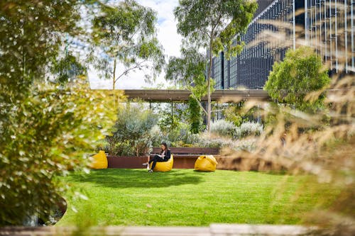 A photograph of an elevated urban park full of lush vegetation. There is a person sitting on one of three yellow bean bag chairs.