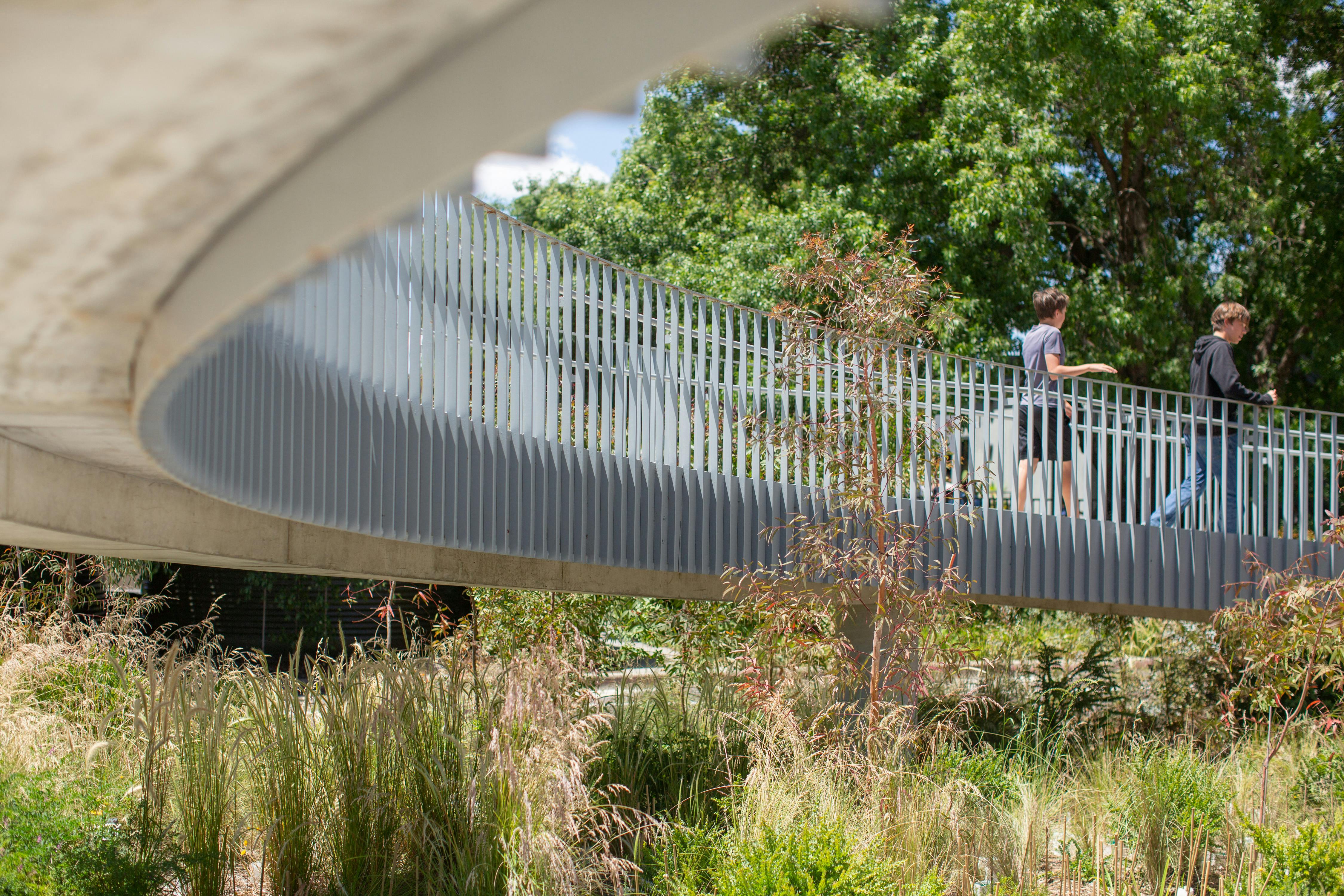 A colour photograph of a spiralling ramp taken from below. Two people are walking down the ramp. A sea of Australian native plants takes up the bottom half of the photograph and the canopy cover of large green trees obscures the sky. 