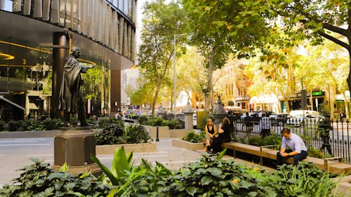 A photograph of a few people sitting in an urban forecourt with planting in the foreground, tree canopy above, and a contemporary commercial building to the left. 