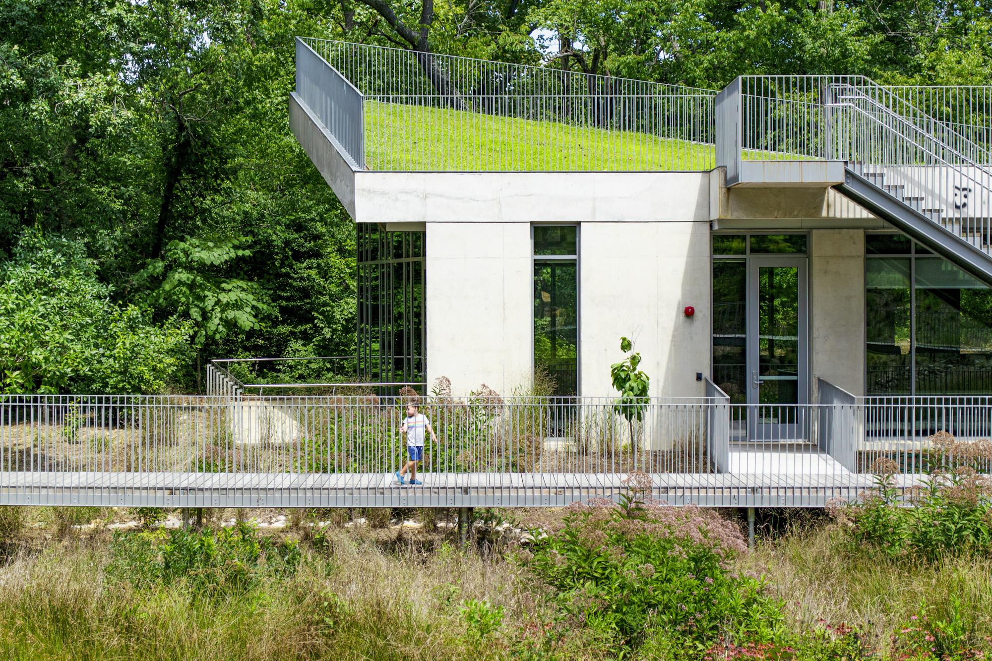 A photograph of a building embedded in the landscape. The building has a green grass roof. A child is visible on a boardwalk runs across the image. The foreground is a meadow of flowering plants. Green trees fill the background of the photo.