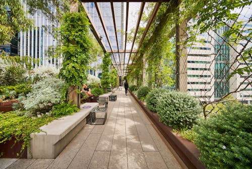 A photograph of walkway in an elevated urban park. The enclosed structure is teeming with an array of lush green plants. A few people can be seen in the park. There are city buildings in the background.