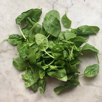 bunch of fresh spinach leaves