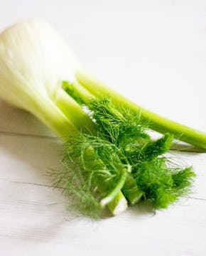 image of fennel