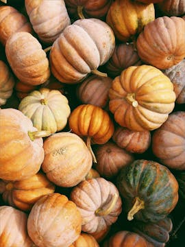 A pile of orange, yellow, and green pumpkins. 