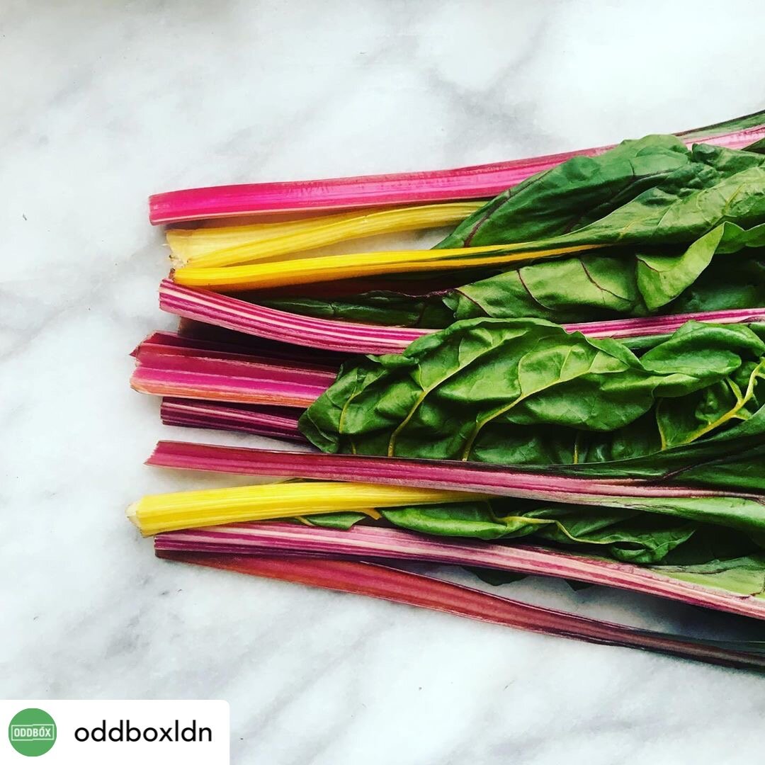 bunch of rainbow chard