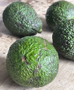Skin marked avocado