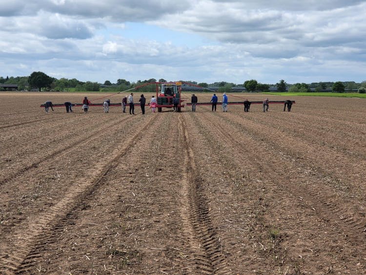 Field with machinery and pickers