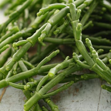 samphire on a wooden table
