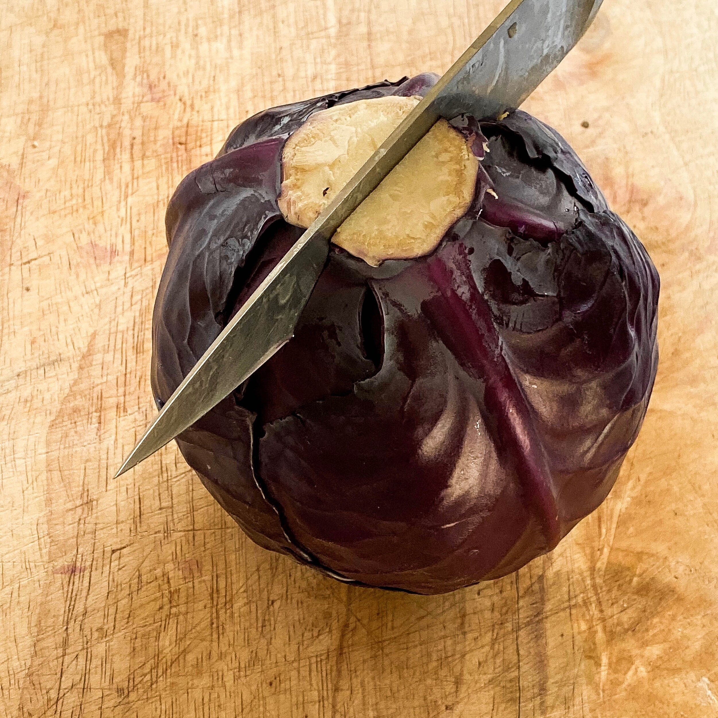 cabbage with knife on the top