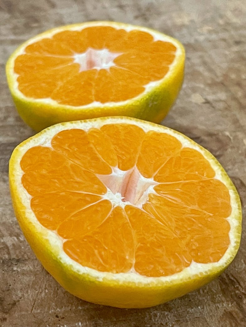Oddbox image