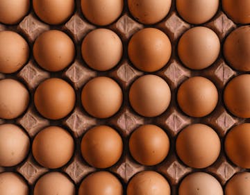 A closeup shot of around 30 eggs all in a carton.