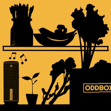 Spring graphic