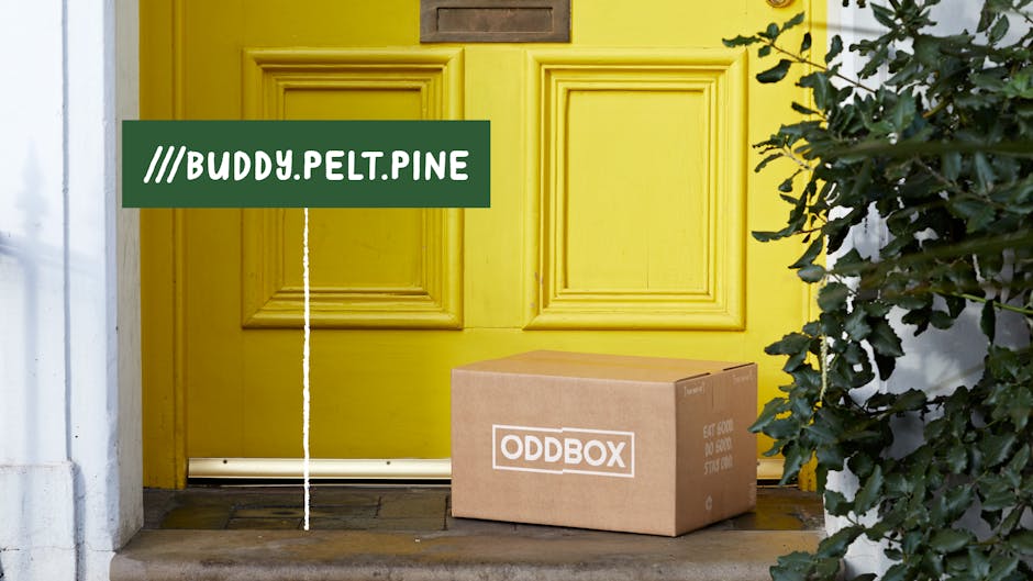 Oddbox image