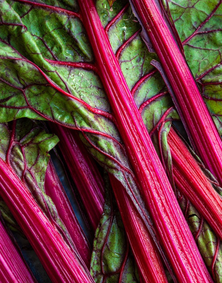 Swiss Chard