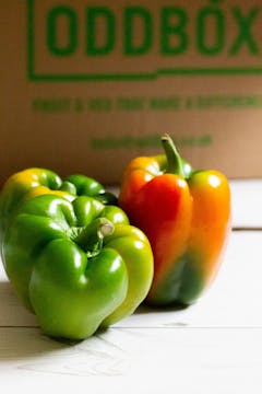 green bell pepper with one green bell pepper turning red and oddbox logo in the back