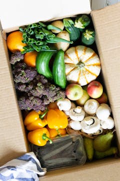 A top down view of the offerings in an Oddbox. This box has: oranges, spring onions, potatoes, courgettes, pumpkins, cucumbers, purple kale, apples, mushrooms, yellow peppers, blackberries, and pears.