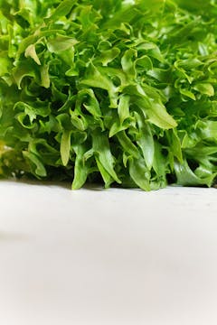 image of rocket leaves