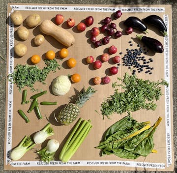 image of vegetables