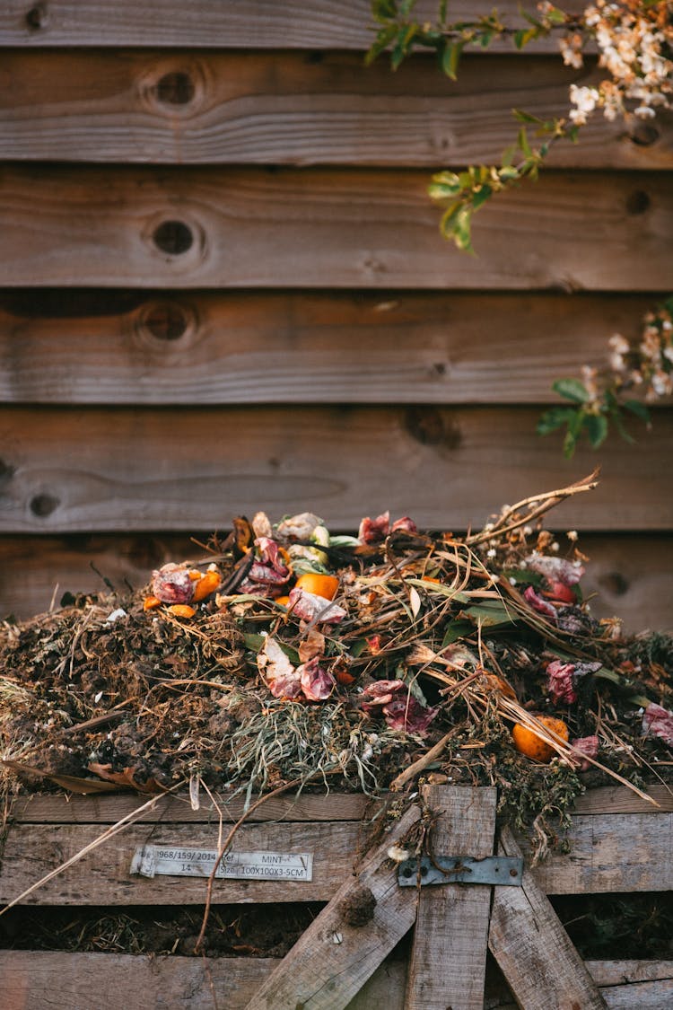 bunch of dried flowers and branches