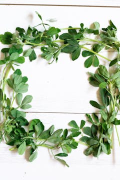 A wreath made up of various herbs.