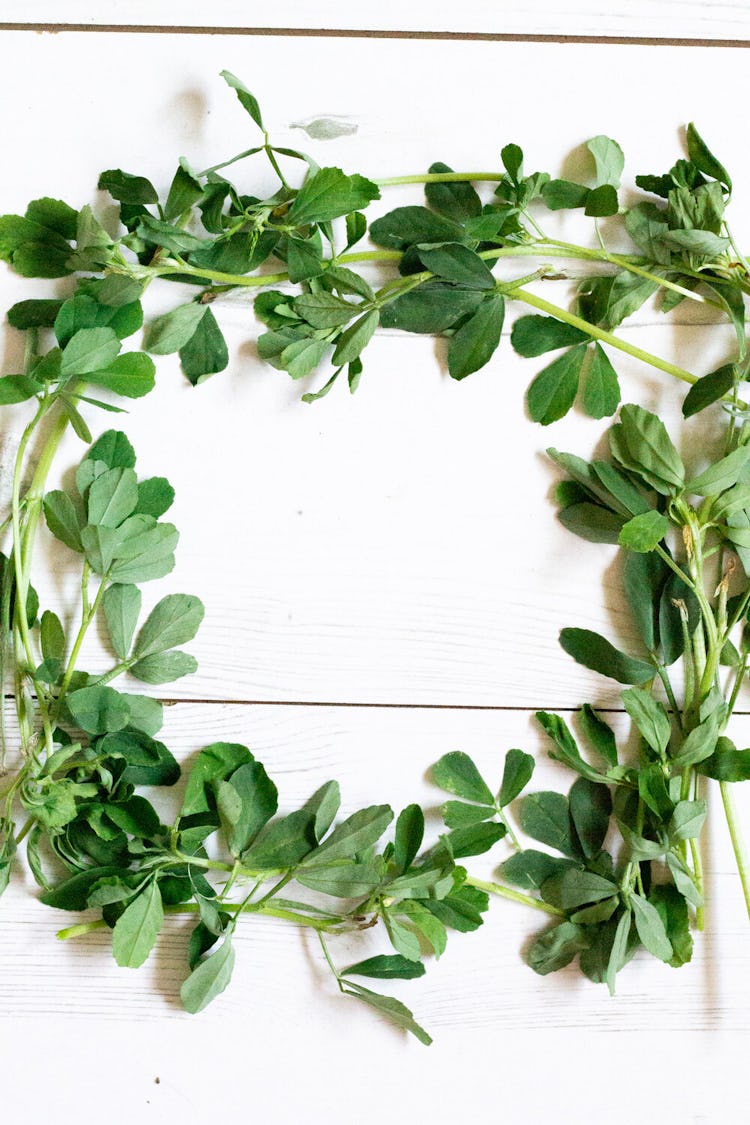 A wreath made up of various herbs. 