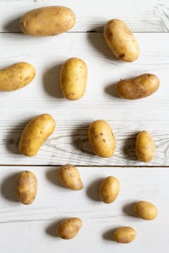 14 potatoes on a table