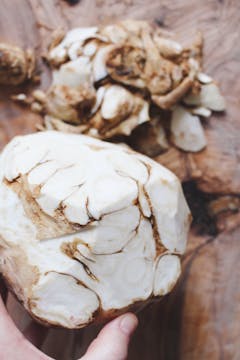 celeriac without the airy roots