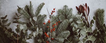 image of christmas