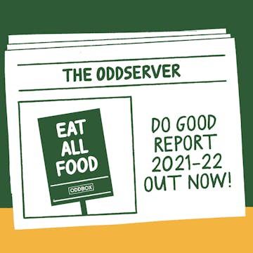 Graphic of a newspaper called The Oddserver announcing the Do Good Report