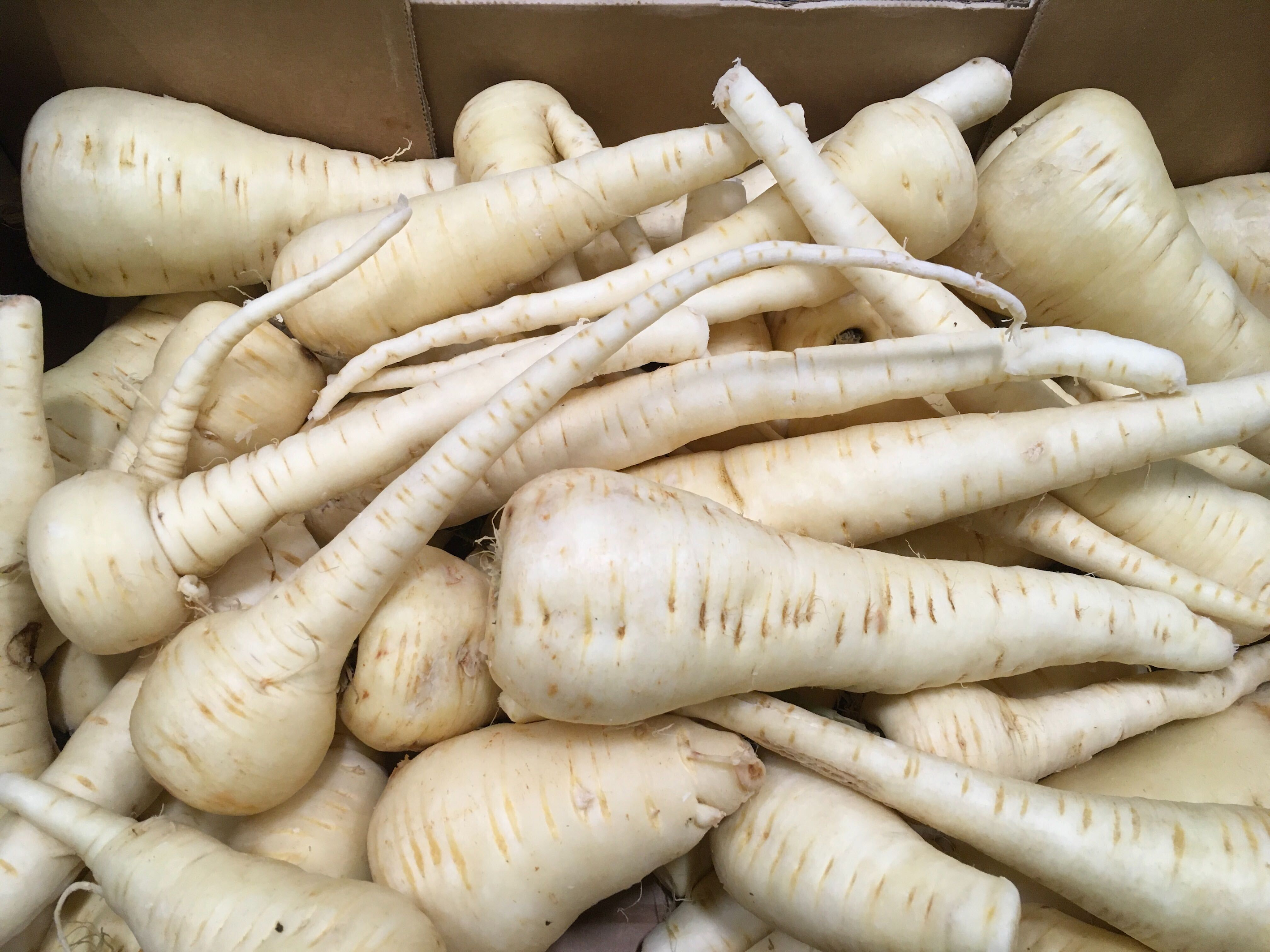 Oddbox carousel image