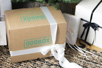 image of oddbox under the tree