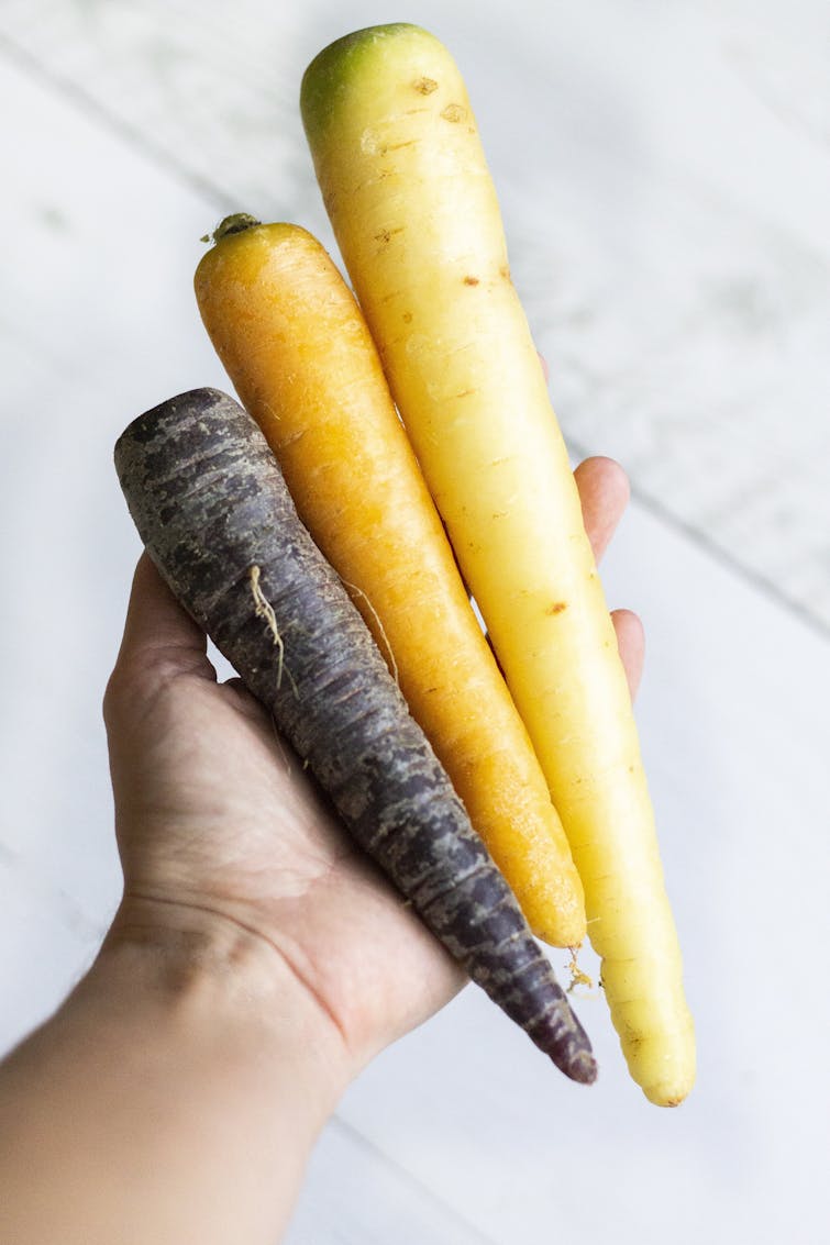3 Rainbow coloured carrots