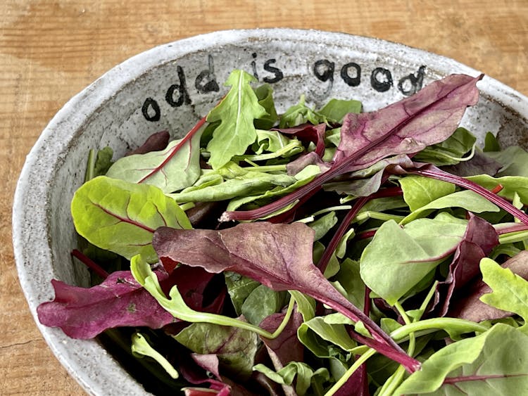 salad leaves in a bowl with the text odd is good on the inside of the bowl