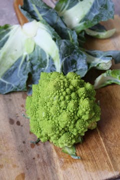 a whole fresh Romanesco