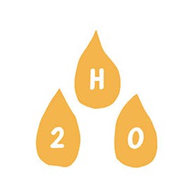 H20