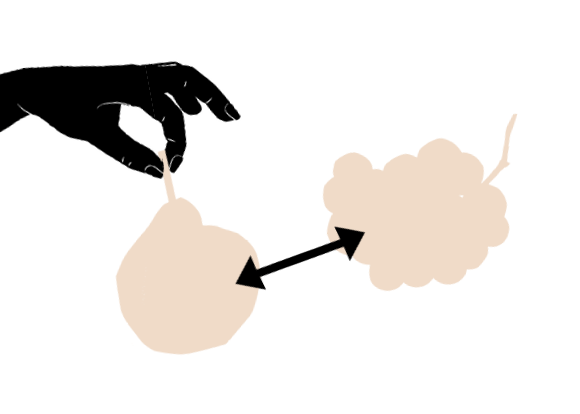 Pick your fruit and veg.